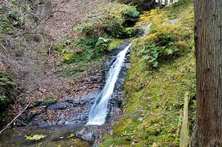 ���a�J�̑�